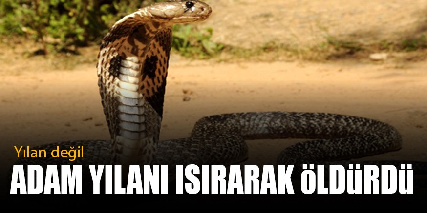 YILAN DEĞiL ADAM YILANI ISIRARAK öLDüRDü