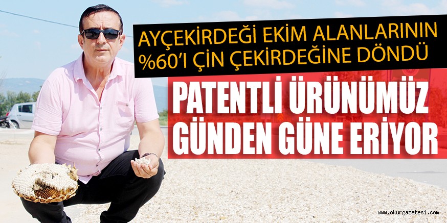 AYÇEKİRDEĞİ EKİM ALANLARININ %60’I ÇİN ÇEKİRDEĞİNE DÖNDÜ PATENTLİ ÜRÜNÜMÜZ GÜNDEN GÜNE ERİYOR