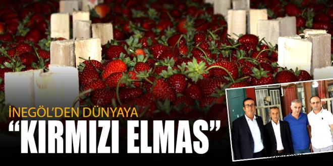 İNEGÖL’DEN DÜNYAYA “KIRMIZI ELMAS”