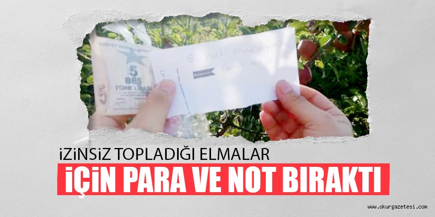 iZiNSiZ TOPLADIĞI ELMALAR iÇiN PARA VE NOT BIRAKTI