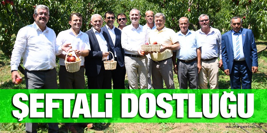 ŞEFTALİ DOSTLUĞU