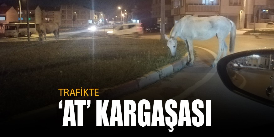 TRAFİKTE ‘AT’ KARGAŞASI