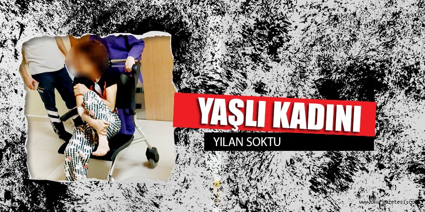 YAŞLI KADINI YILAN SOKTU
