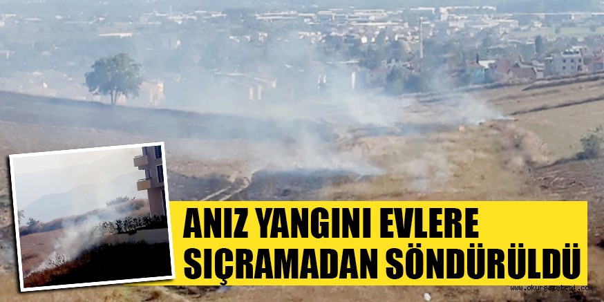 ANIZ YANGINI EVLERE SIÇRAMADAN SÖNDÜRÜLDÜ