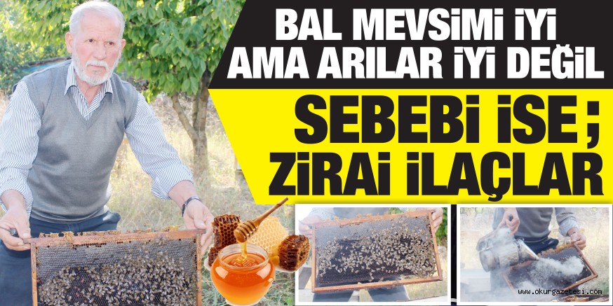 BAL MEVSiMi iYi AMA ARILAR iYi DEĞiL SEBEBİ İSE ; ZİRAİ İLAÇLAR