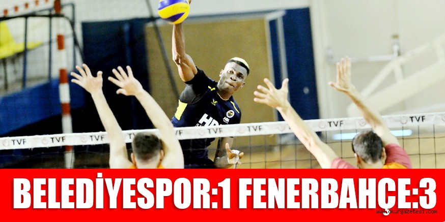 BELEDİYESPOR:1 FENERBAHÇE:3