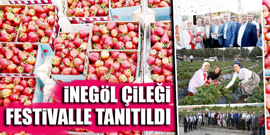 iNEGöL ÇiLEĞi FESTiVALLE TANITILDI