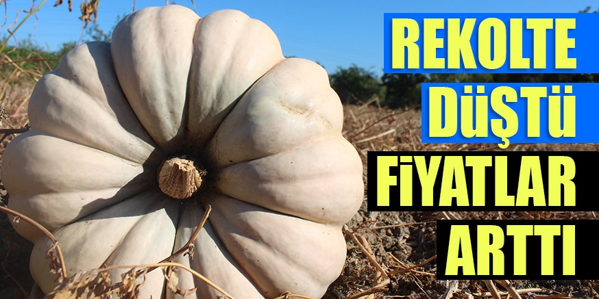 REKOLTE DÜŞTÜ FİYATLAR ARTTI