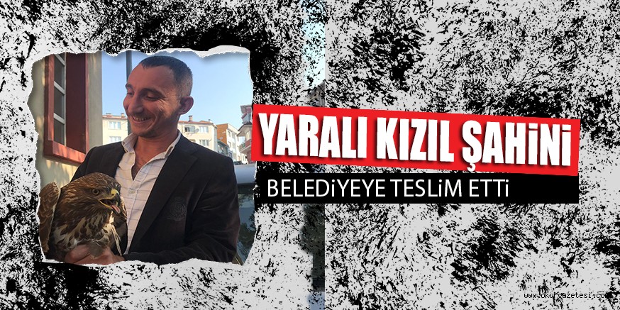 YARALI KIZIL ŞAHiNi BELEDiYEYE TESLiM ETTi