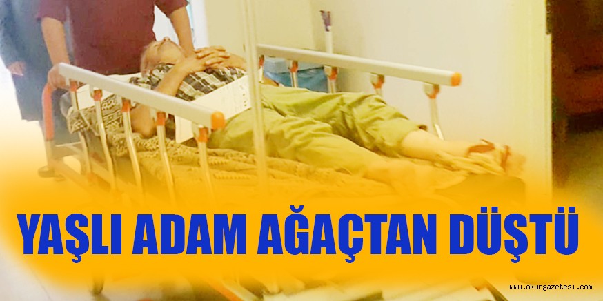 YAŞLI ADAM AĞAÇTAN DÜŞTÜ