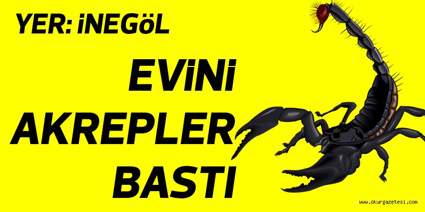 EViNi AKREPLER BASTI