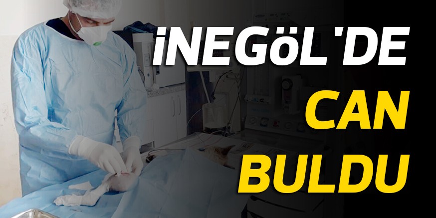 iNEGöL’DE CAN BULDU