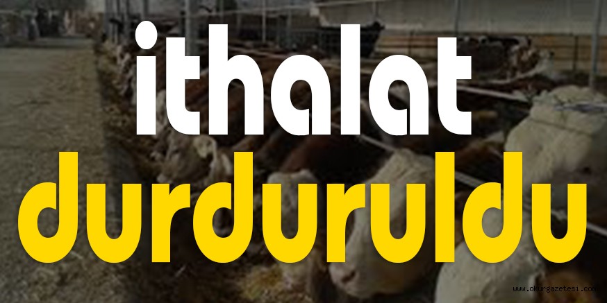 İTHALAT DURDURULDU