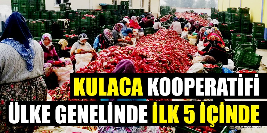 KULACA KOOPERATİFİ ÜLKE GENELİNDE İLK 5 İÇİNDE