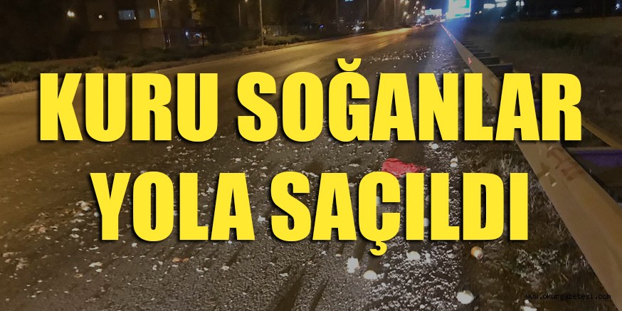 KURU SOĞANLAR YOLA SAÇILDI