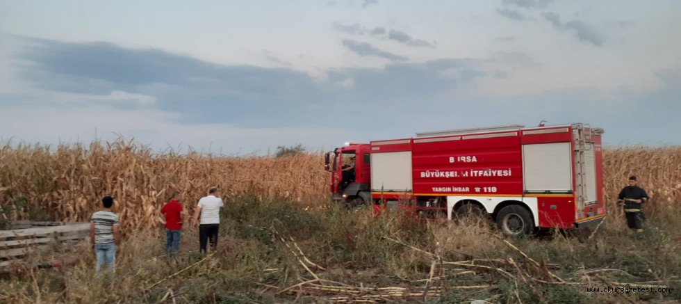 MISIR TARLASINDA YANGIN