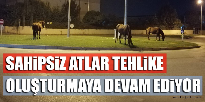 SAHiPSiZ ATLAR TEHLiKE OLUŞTURMAYA  DEVAM EDiYOR