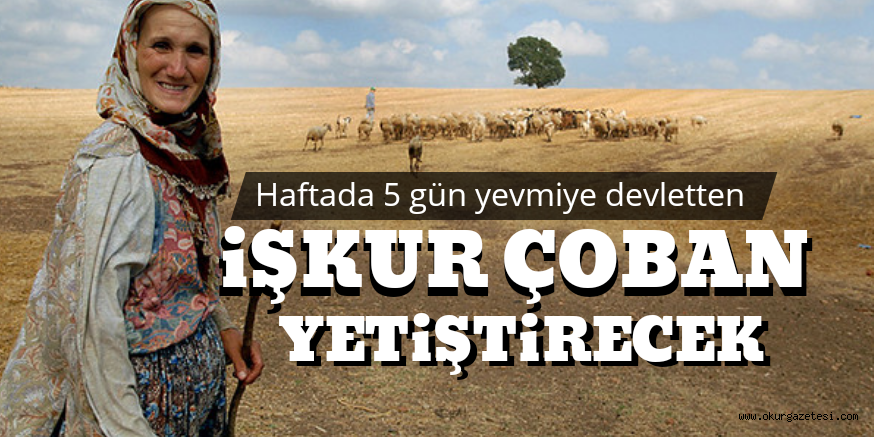 ÇOBAN YETİŞTİRİLECEK