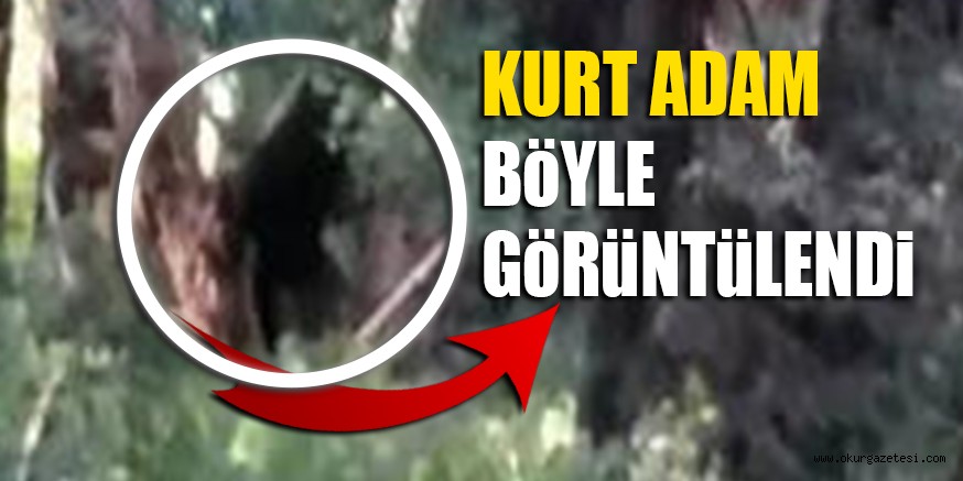 KURT ADAM BöYLE  GöRüNTüLENDi