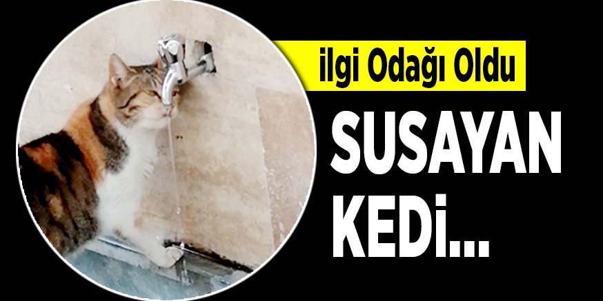 SUSAYAN KEDi…