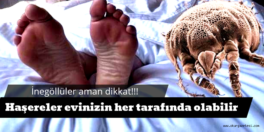 AMAN DİKKAT