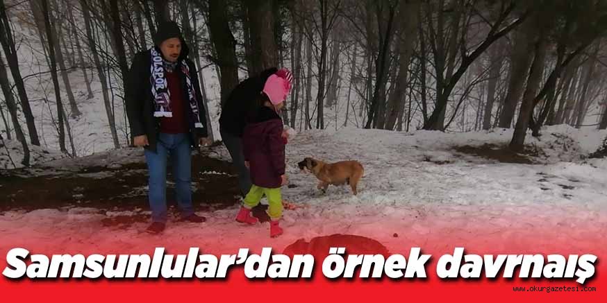DOĞADAKİ HAYVANLARA YİYECEK BIRAKTILAR