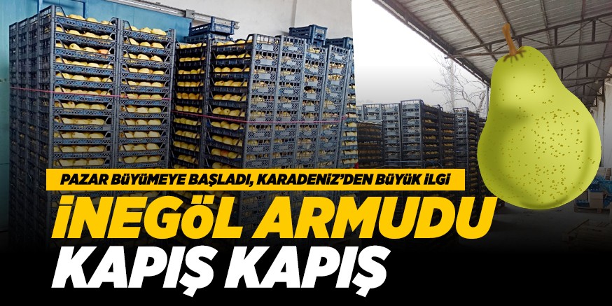 İNEGÖL ARMUDU KAPIŞ KAPIŞ