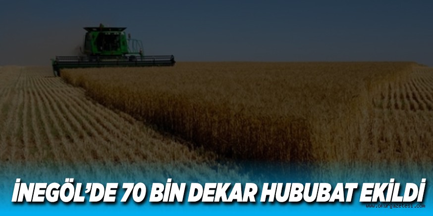 İNEGÖL’DE 70 BİN DEKAR HUBUBAT EKİLDİ