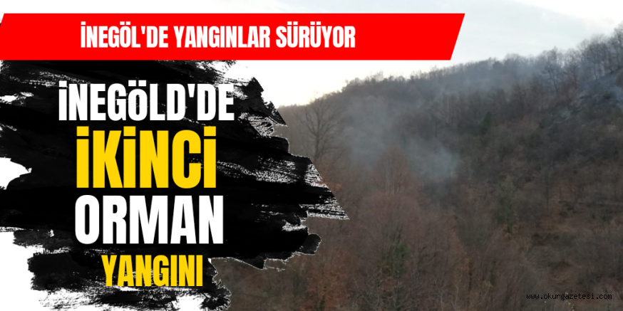 İNEGÖL’DE İKİNCİ ORMAN YANGINI