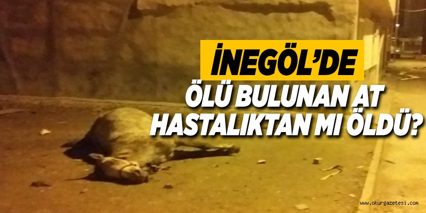 İNEGÖL’DE ÖLÜ BULUNAN AT HASTALIKTAN MI ÖLDÜ