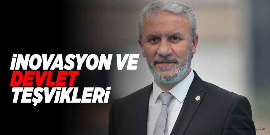 iNOVASYON VE DEVLET TEŞViKLERi