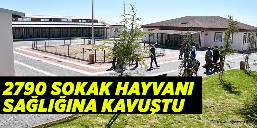 2790 SOKAK HAYVANI SAĞLIĞINA KAVUŞTU