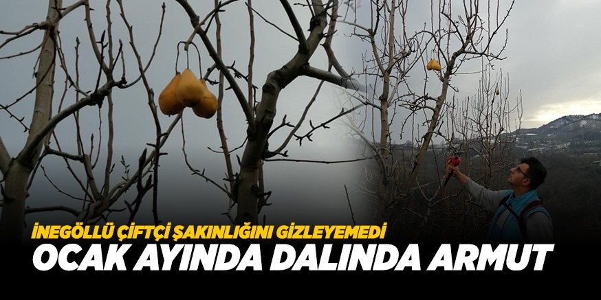 ÇİFTÇİ ŞAŞIRDI