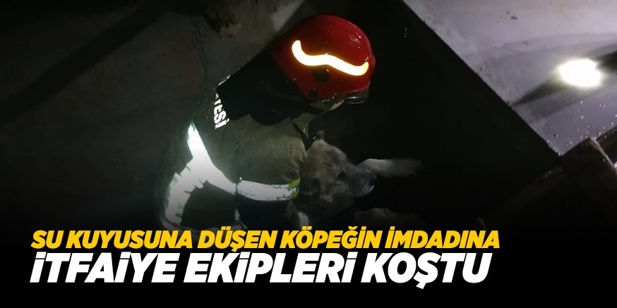 İTFAİYE YETİŞTİ