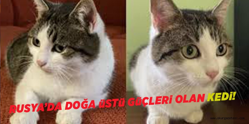RUSYA’DA DOĞA üSTü GüÇLERi OLAN KEDi!