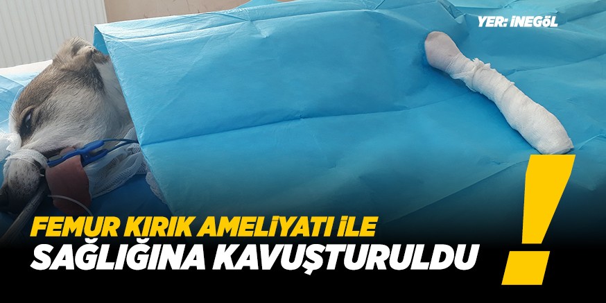 SAĞLIĞINA KAVUŞTURULDU