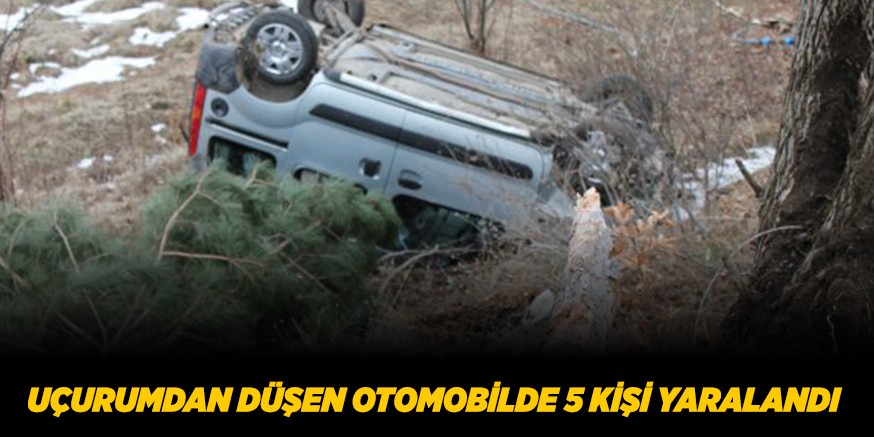 UÇURUMDAN DÜŞEN OTOMOBİLDE 5 KİŞİ YARALANDI