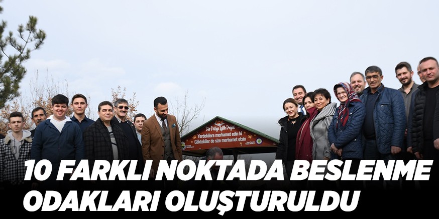 10 FARKLI NOKTADA BESLENME  ODAKLARI OLUŞTURULDU