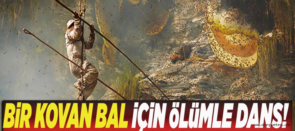 BiR KOVAN BAL iÇiN öLüMLE DANS!