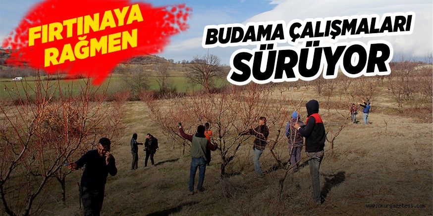 BUDAMA ÇALIŞMALARI SüRüYOR