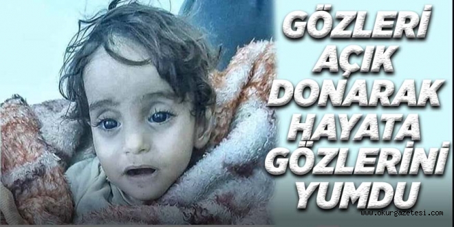 GÖZLERİ AÇIK DONARAK HAYATA GÖZLERİNİ YUMDU