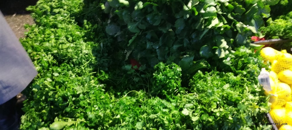 Maydanozun fiyatı İnegöl’de değişmiyor