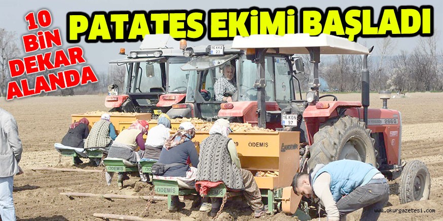 10 BiN DEKAR ALANDA PATATES EKiMi BAŞLADI