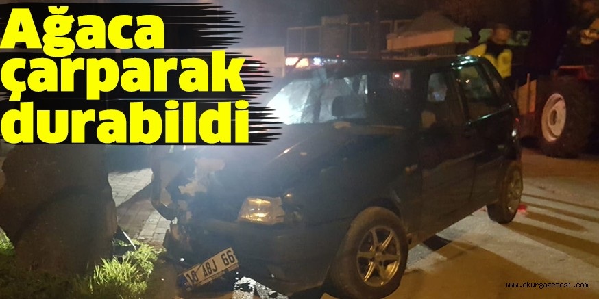 Ağaca çarparak durabildi