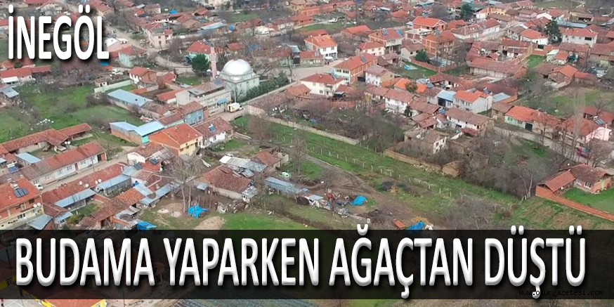 BUDAMA YAPARKEN AĞAÇTA DÜŞTÜ