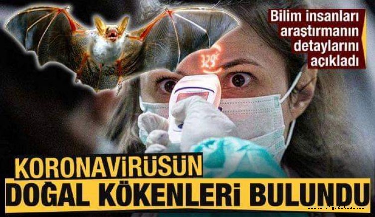KORONAVİRÜSÜN DOĞAL KÖKENLERİ BULUNDU! BİLİM İNSANLARI ARAŞTIRMANIN DETAYLARINI AÇIKLADI