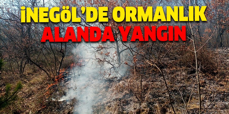 ORMANLIK ALANDA YANGIN