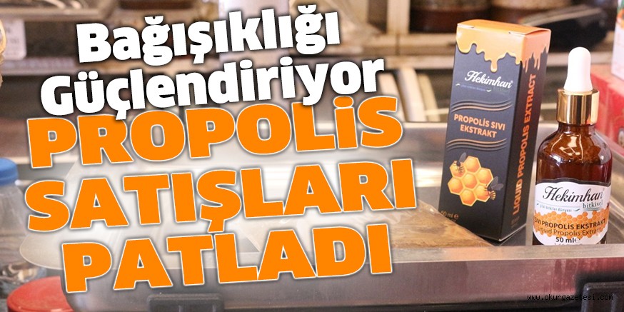 PROPOLİS SATIŞLARI PATLADI