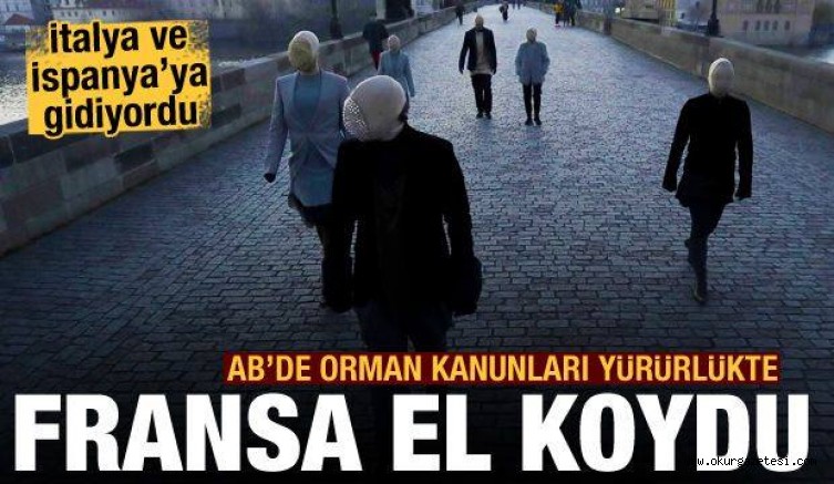 AB ORMAN KANUNLARI DEVREDE