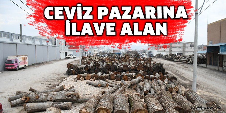 CEVİZ PAZARINA İLAVE ALAN